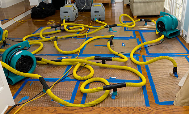 Professional Water Damage Repair technician working in Kitts Hill, OH