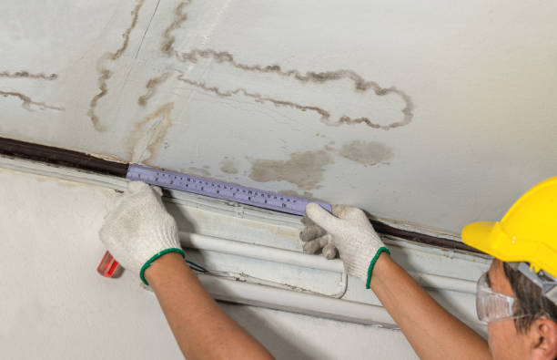 Affordable Water Damage Repair solutions in Kitts Hill, OH